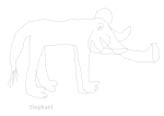 elephant dewlance