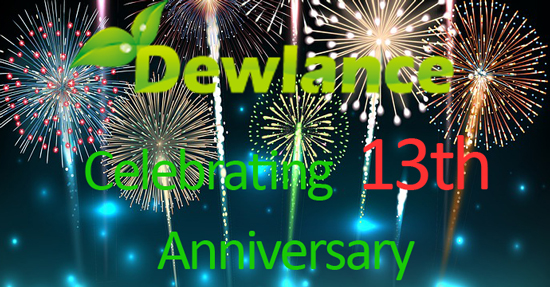 dewlance-cheap-linux-vps-3-49-month-usa-recurring-offer-ssd-ipv4-vps